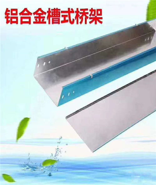 億富興線管橋架 大慶線槽 100 100線槽高清圖片 高清大圖