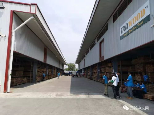 廣告專版 leon hardware 7 mile 五金建材大型超市開張營業