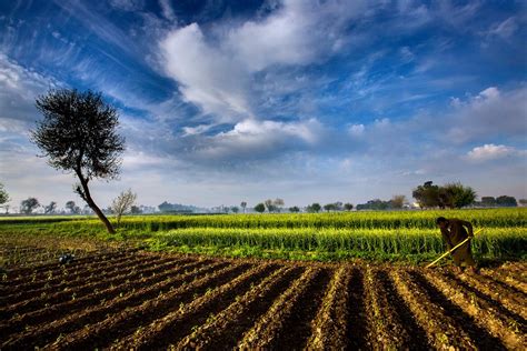  Pakistan: People and Crops：描繪農村圖景，探討糧食安全之謎